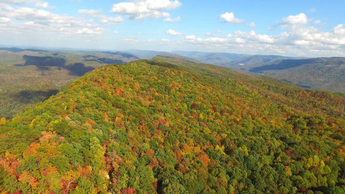 The Kentucky Natural Lands Trust bought more than 1,300 acres on Pine Mountain in Harlan County in November 2020 to conserve the land.