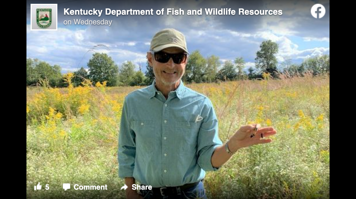 A monarch butterfly tagged by Tri Roberts at a Kentucky Department of Fish and Wildlife Resources event survived a 1,600-mile journey to a sanctuary in Mexico, officials said. Screengrab from Kentucky Department of Fish and Wildlife Resources on Facebook.