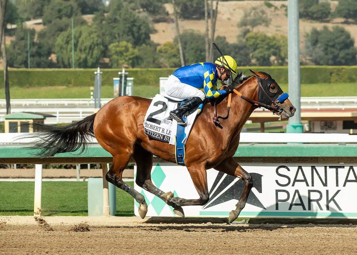 Citizen Bull is one of two horses trained by Bob Baffert that will run in Saturday’s Kentucky Derby at Churchill Downs.