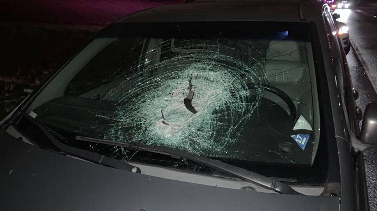 A rock was thrown into a vehicle driven by William Wehner, causing him serious facial injuries.