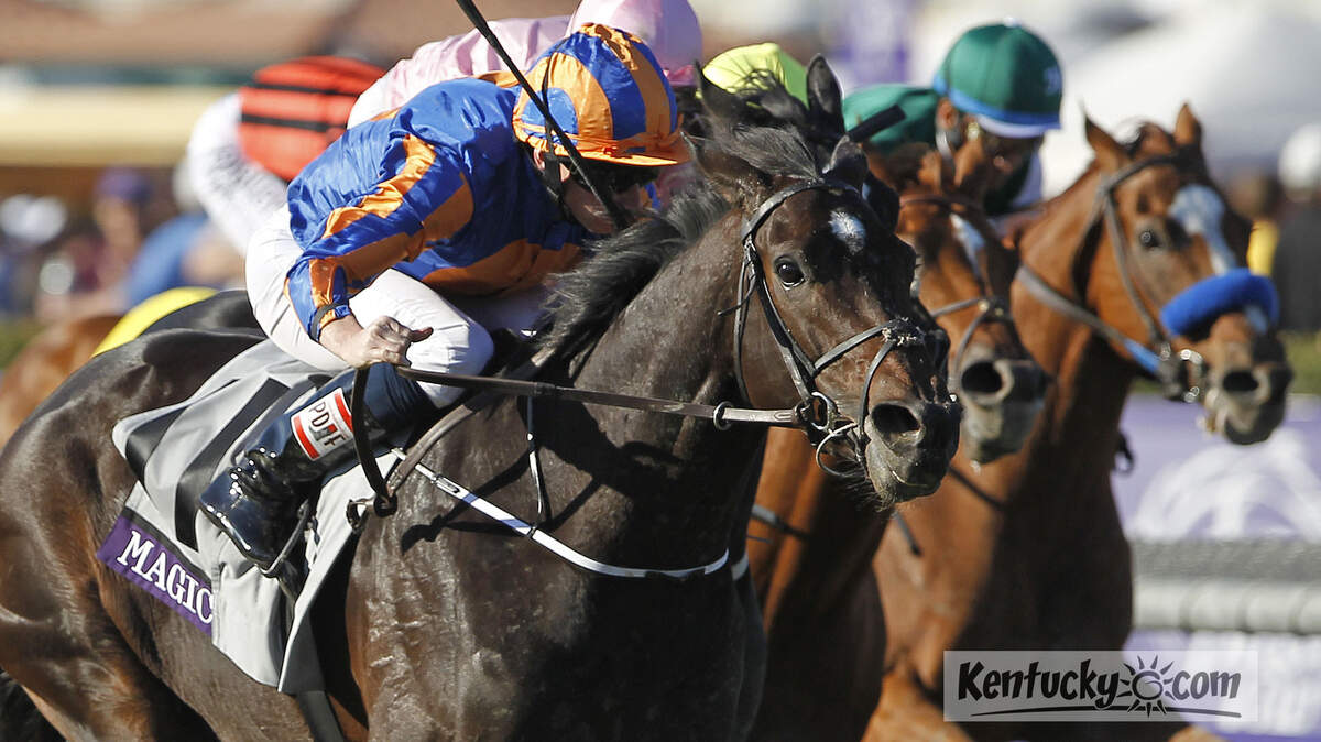 Magician, with Ryan Moore up, wins the Breeders' Cup Turf for owners Michael Tabor, Derrick Smith and Mrs. John Magnier and trainer Aidan O'Brien at Santa Anita Park Nov. 2, 2013. 
Photo by Amy Wallot