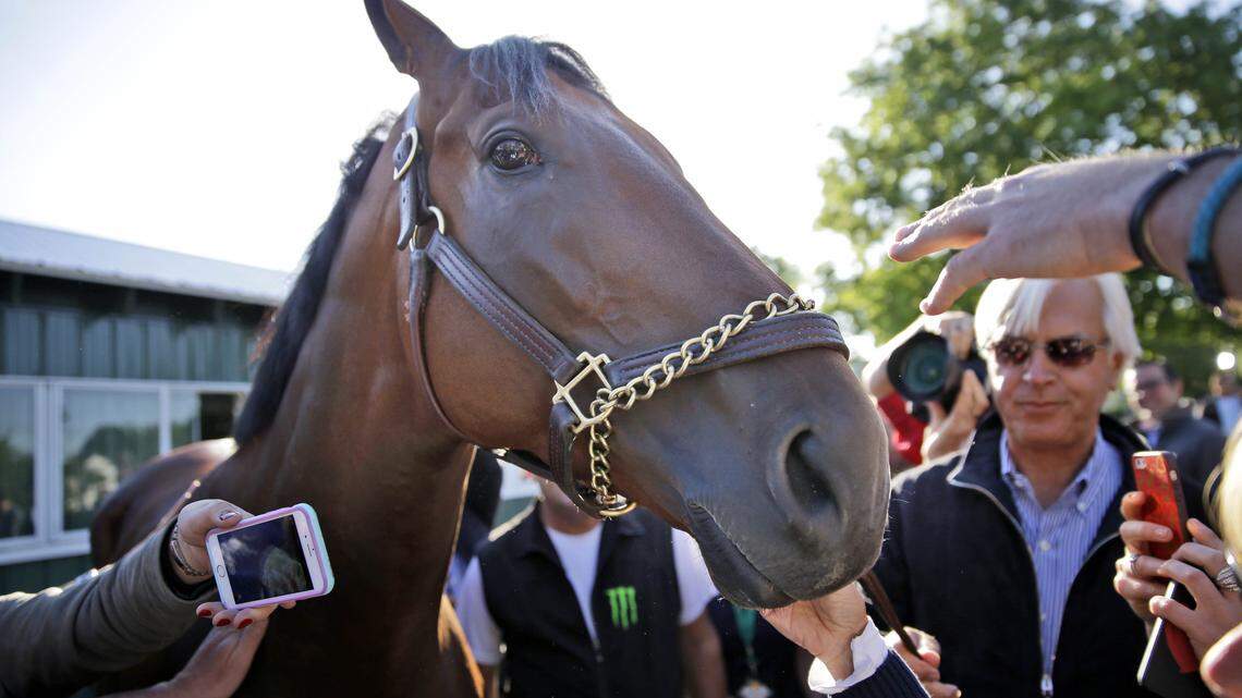 Belmont Stakes Horse Racing