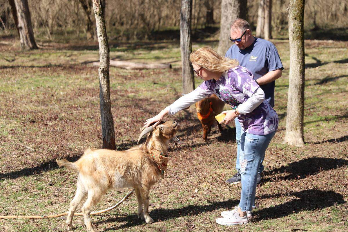 Angie Seimer and Jeff Marvin of Lancaster, Ohio, visited Picnic with Goats in Lexington for an afternoon picnic on Saturday, March 5th. Photo by Rob Bolson.