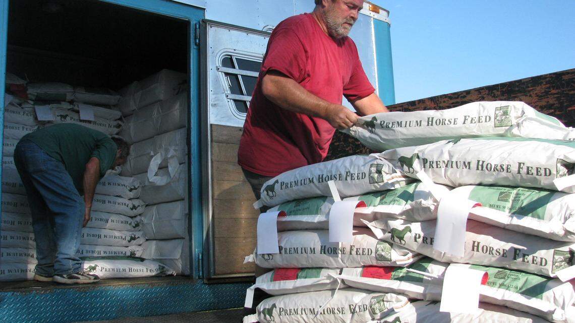 Woodford Feed Co. employees Jeff Thompson, left, and Kenneth Foley loaded horse feed into a trailer owned by Bob Hubbard Horse Transportation Inc. in Glen's Creek, west of Versailles.  