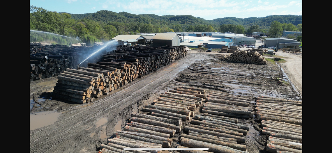 The forgotten farmers: why the U.S. hardwood industry needs tariff relief
