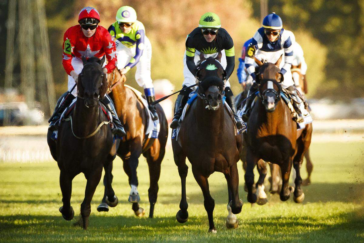 Bowies Hero (5) center, with Flavien Prat up, beat Diamond Oops by three-quarters of a length in Saturday’s Shadwell Turf Mile.