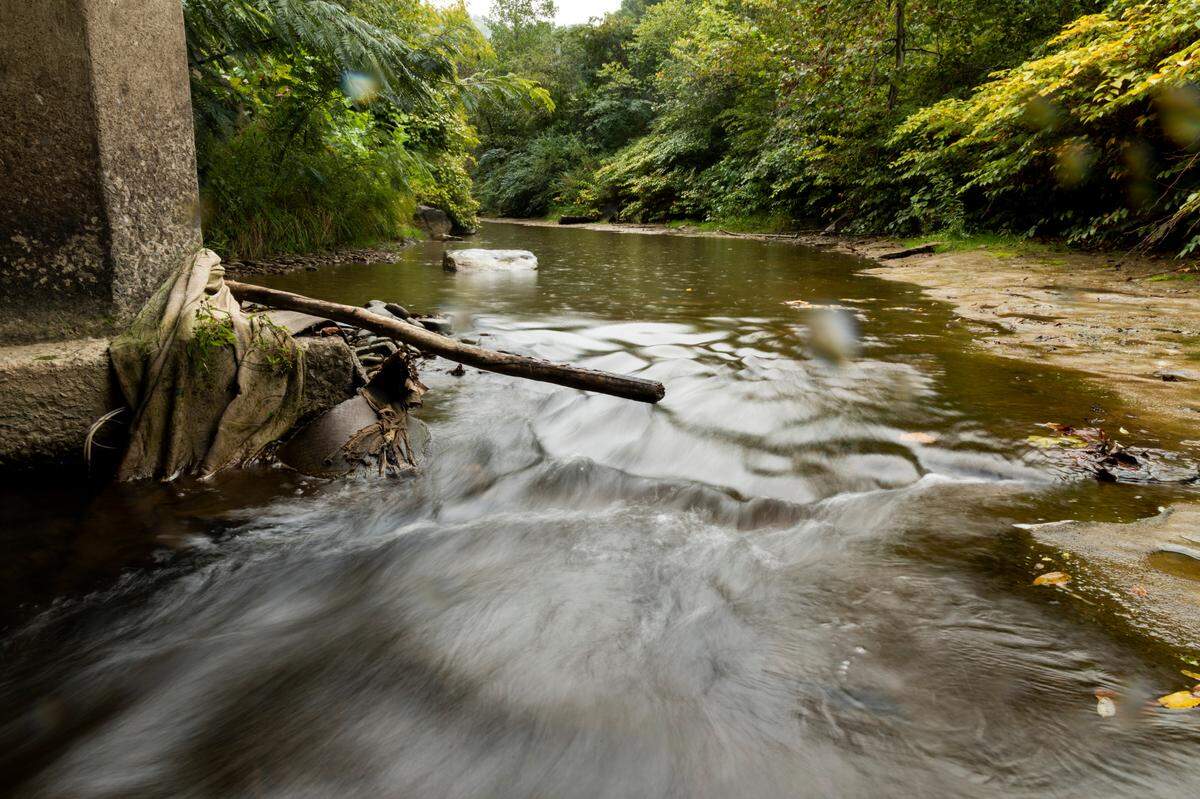 The Johns Creek, near McCoy Elkhorn Coal, outside of Kimper, Ky., on Thursday, Sept. 17, 2020. Many of the companies that purchased coal mines from bankrupt Kentucky producers still have repeated environmental violations and fines, some as recently as December 2020, that stop them from moving forward with any use of the land.