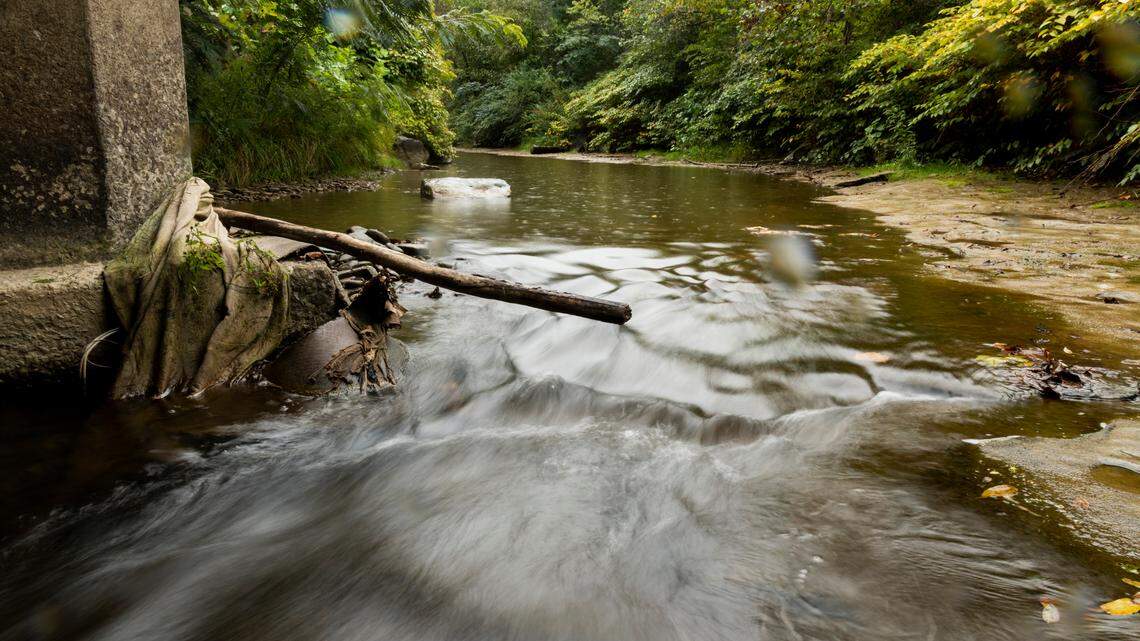 The Johns Creek, near McCoy Elkhorn Coal, outside of Kimper, Ky., on Thursday, Sept. 17, 2020. Many of the companies that purchased coal mines from bankrupt Kentucky producers still have repeated environmental violations and fines, some as recently as December 2020, that stop them from moving forward with any use of the land. 