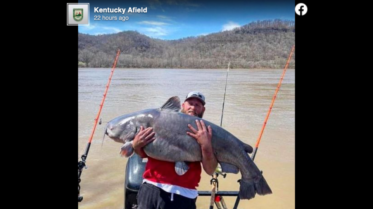 Michael Robinson, with help from his friend Terry Raymer, reeled in a 95-pound catfish on the Ohio River in Kentucky.