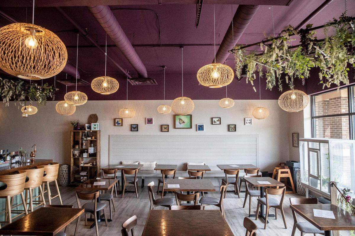Luna’s Coffee, Wine & Butterfly Cafe opened in April. The cages at the front of the restaurant will be the home for each butterfly for two to four days before being released.