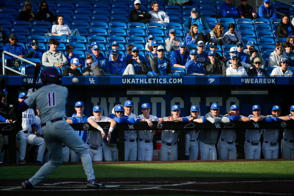 The Kentucky dugout watches Evansville designated hitter Chase Hug (11) bat during Tuesday’s UK home opener at Kentucky Proud Park. The Wildcats beat the Purple Aces 6-3.