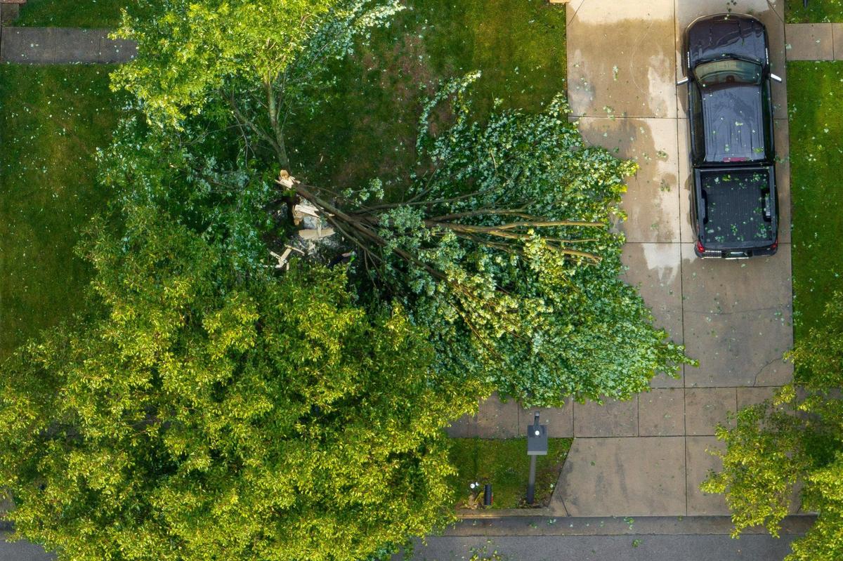 Trees and branches were knocked down along Sandersville Road in Lexington, Ky., on Thursday, June 26, 2025, following a storm with strong winds.