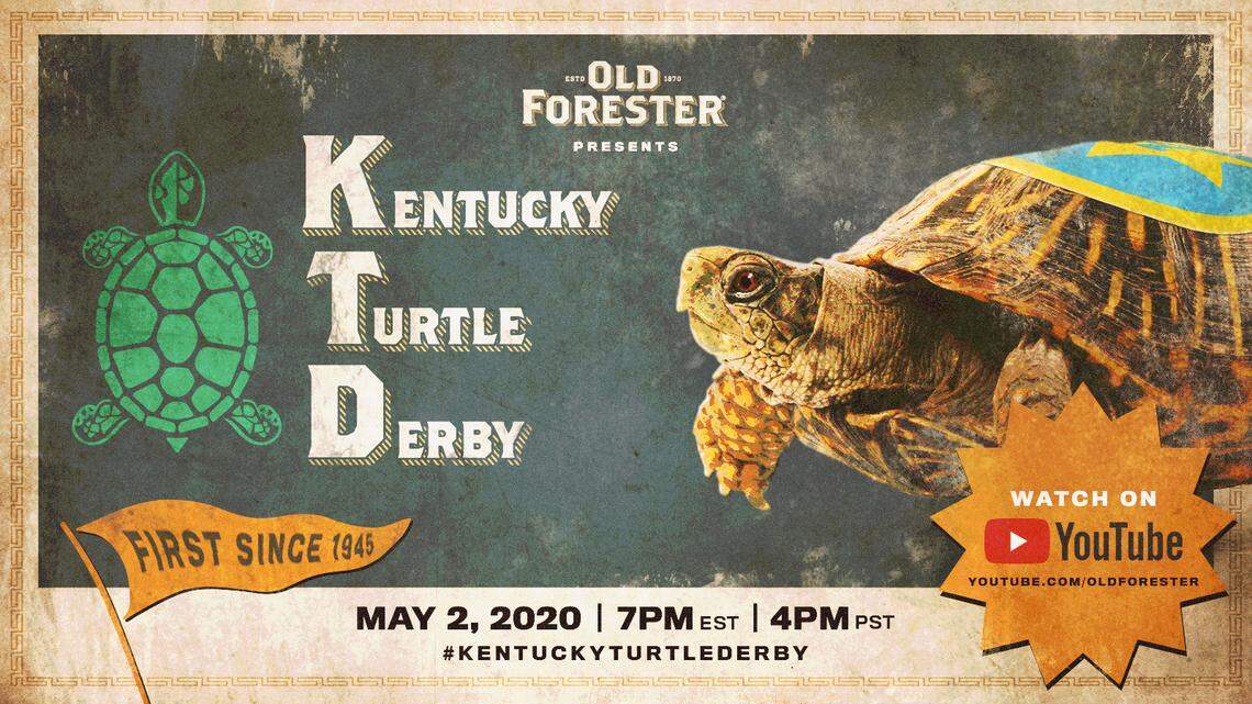 No horses at Churchill on Saturday? Hold onto your Derby hats, here come the turtles.