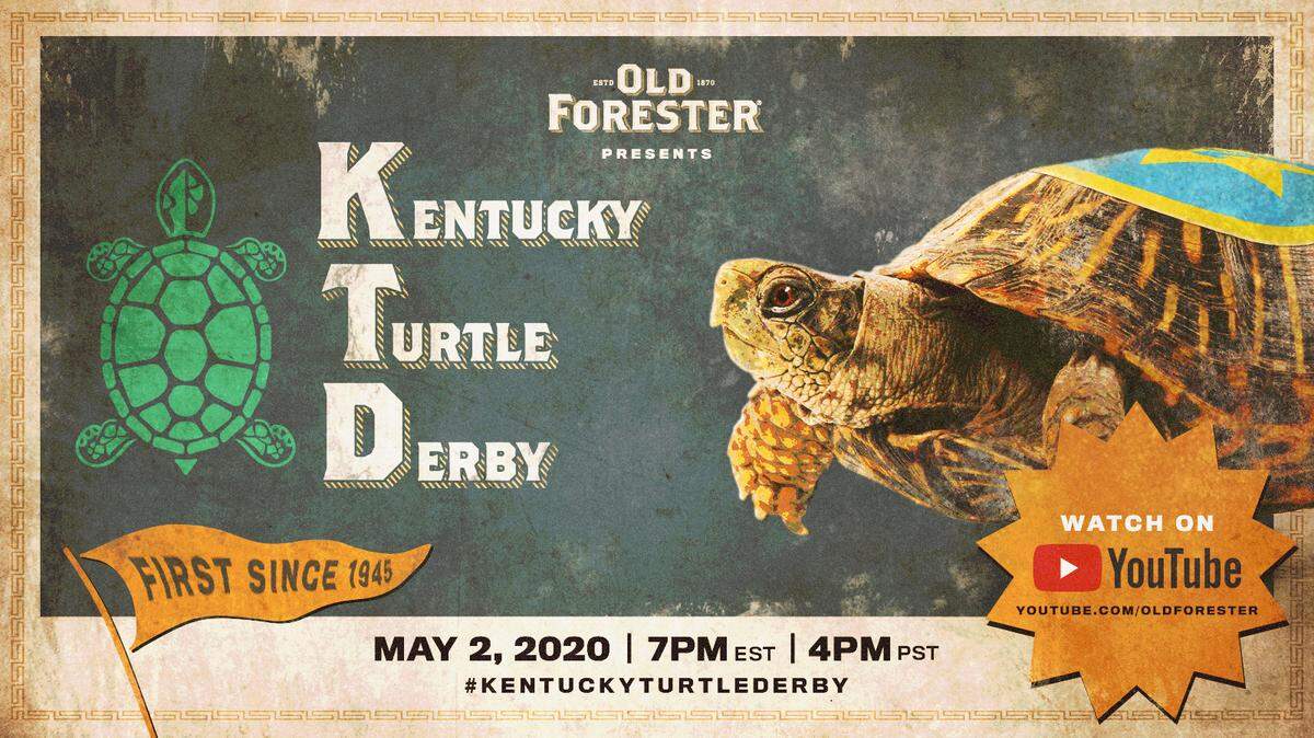 There won’t be tiny jockeys or parimutuel betting but the eight turtles, with names like “Seattle Slow” and “Green Mamba” will have silks painted on their shells.
