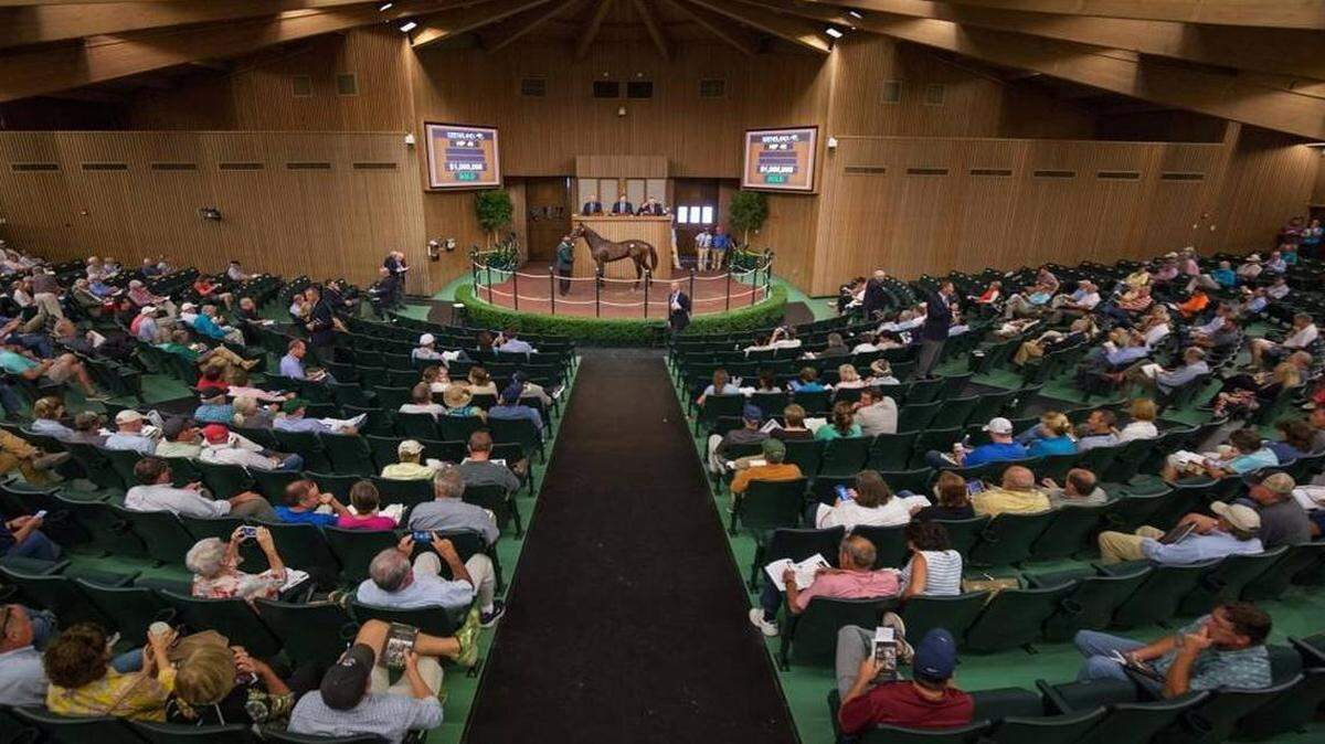 The Keeneland September yearling sale. Keeneland is not listed as a defendant in the suit. DAVID COYLE KEENELAND PHOTOS
