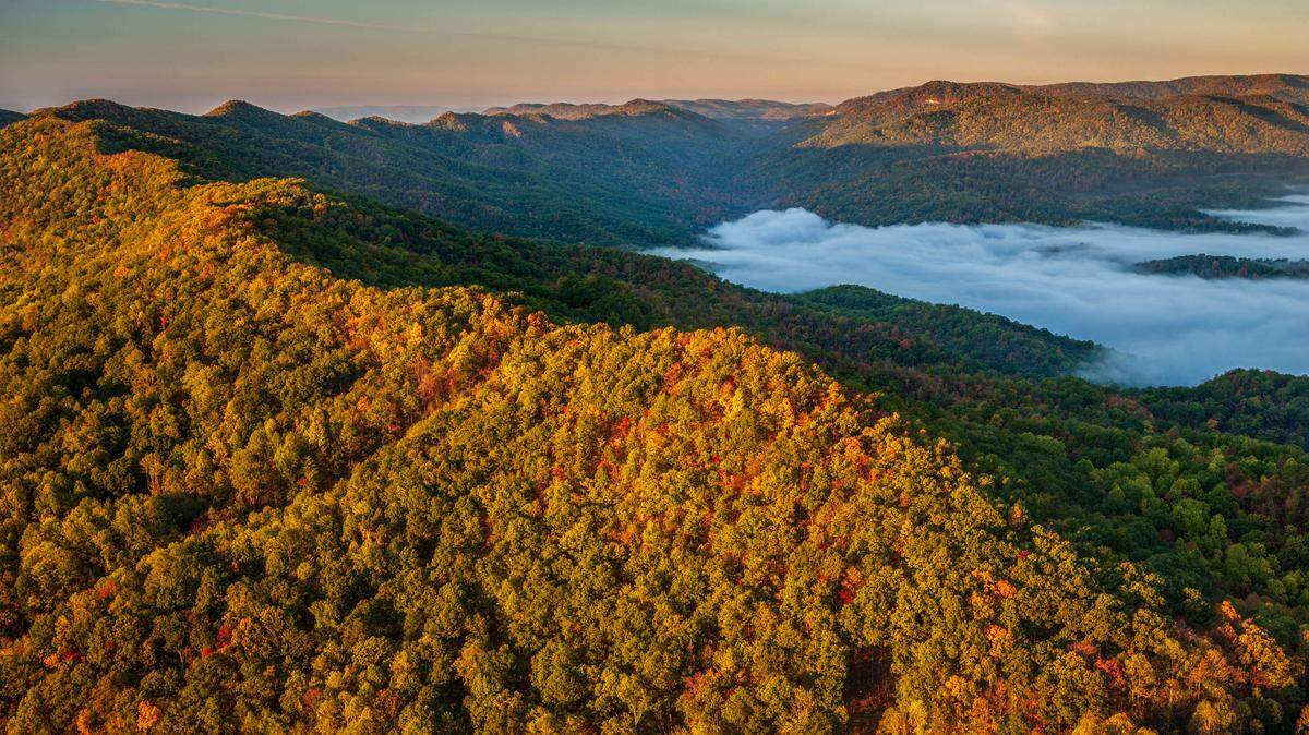 The Nature Conservancy has arranged to buy 100,000 acres in southeast Kentucky and Tennessee. This is a view of part of the property seen from the Tennessee portion of Cumberland Gap National Historic Park.