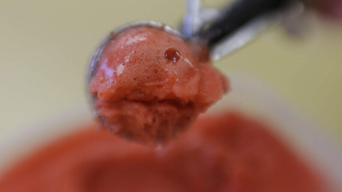 Are you seeing Spotz? Popular gelato place opening another location, adding vegan line
