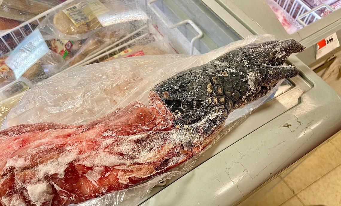 You can buy frozen alligator at Asian Market in Lexington’s Woodhill Circle Plaza, but you are not supposed to eat the feet that comes with it.