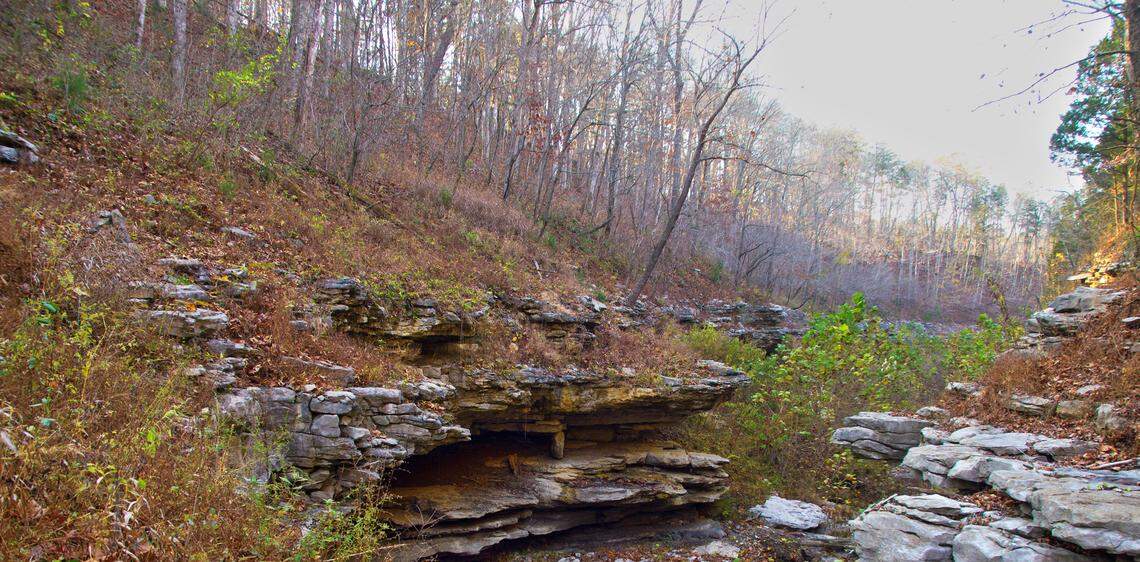 The Arnow Woodland Preserve is 139 acres in Pulaski County on the Cumberland River.