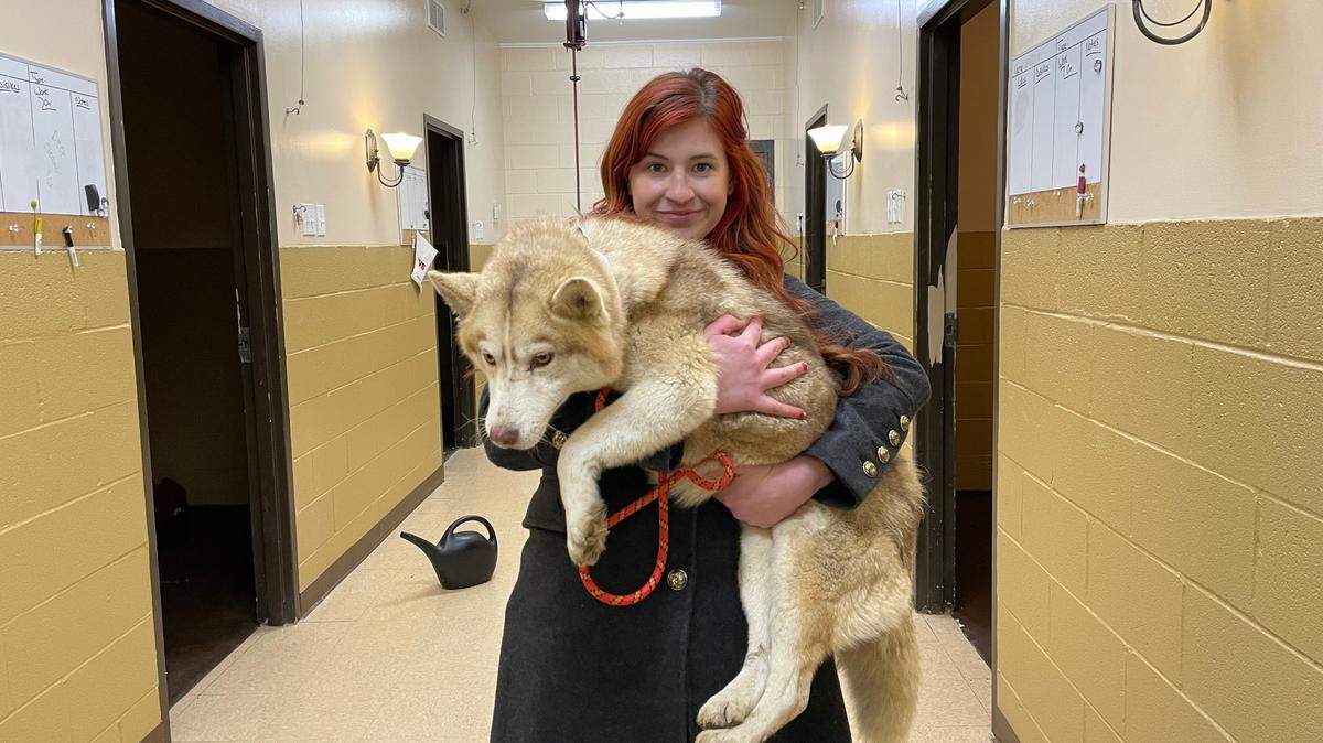 A humane society worker poses for a photo with one of the rescued dogs from a Spencer County property this week.