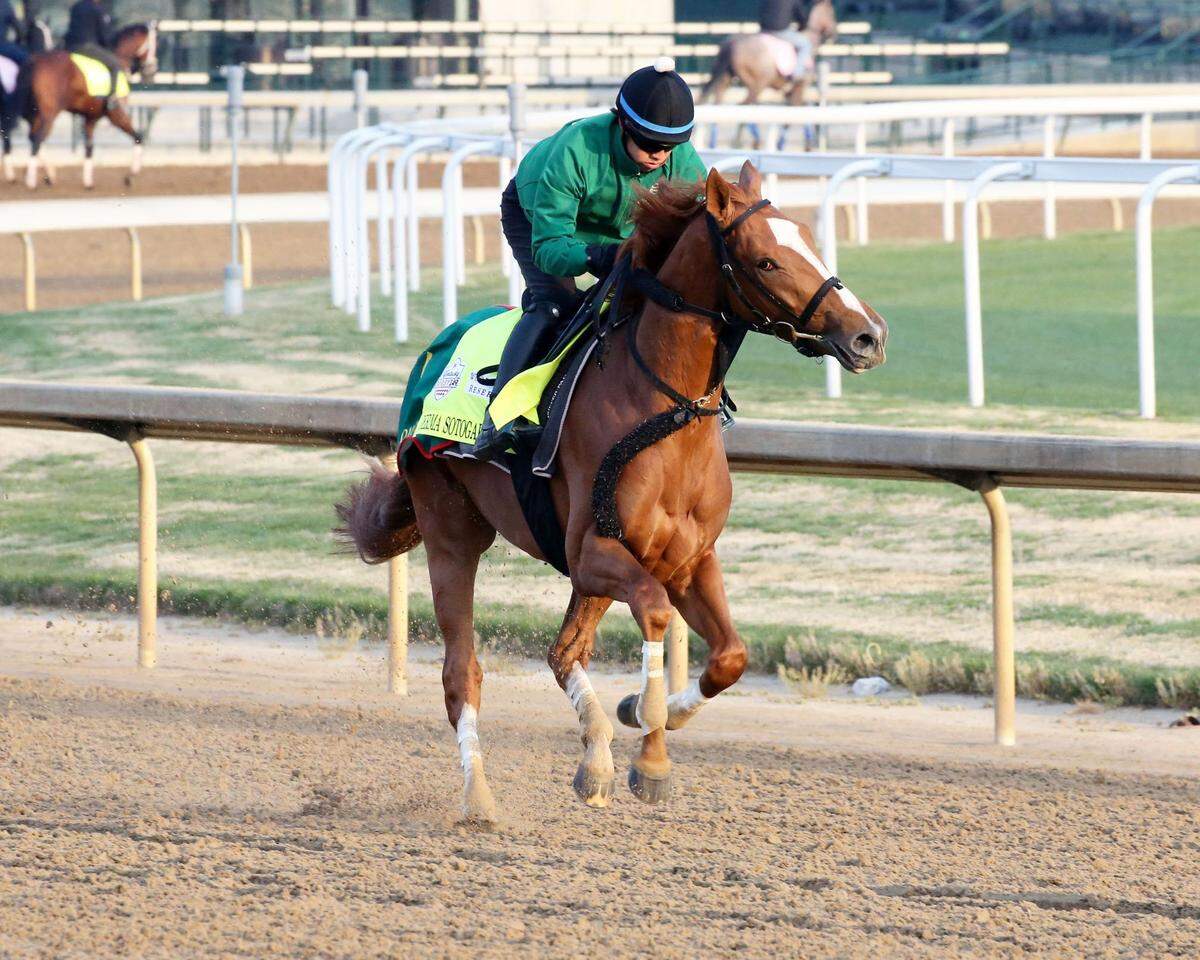 Kentucky Derby contender Derma Sotgake puts in a work at Churchill Downs on April 26.
