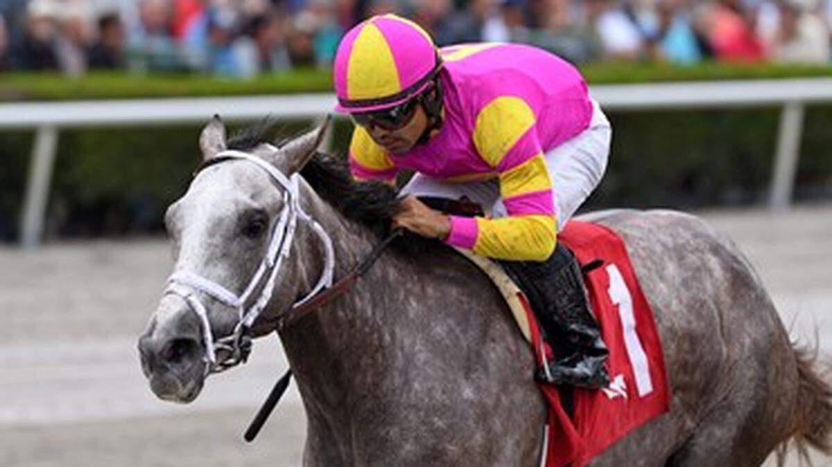 Tapit Trice has won three races in a row entering Saturday’s $1 million Toyota Blue Grass Stakes at Keeneland.