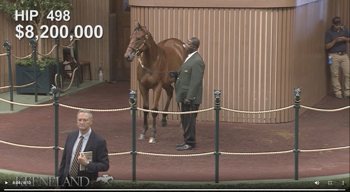 This filly by Triple Crown winner American Pharoah, who now stands at stud at Coolmore’s Ashford Stud in Versailles, sold for $8.2 million, setting a new record for a filly at the Keeneland September Yearling Sale.