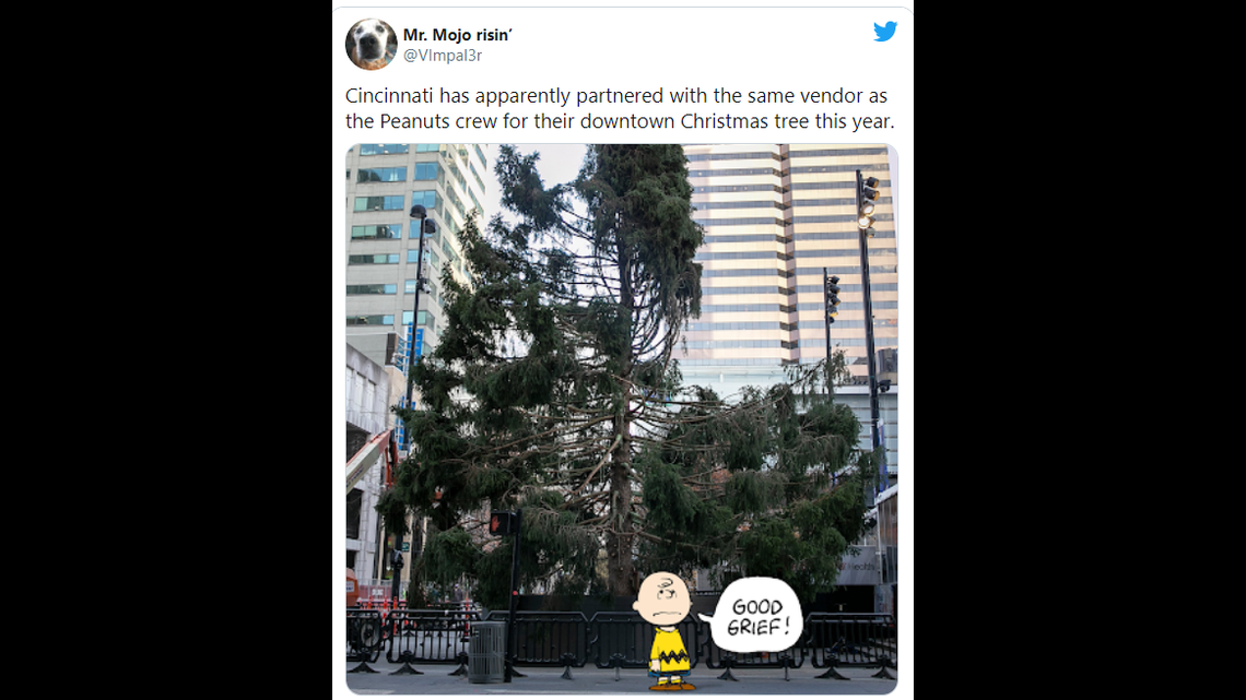 The famously sad Christmas Tree from the beloved TV special “A Charlie Brown Christmas” is apparently real, and was installed this week at downtown Cincinnati’s Fountain Square.