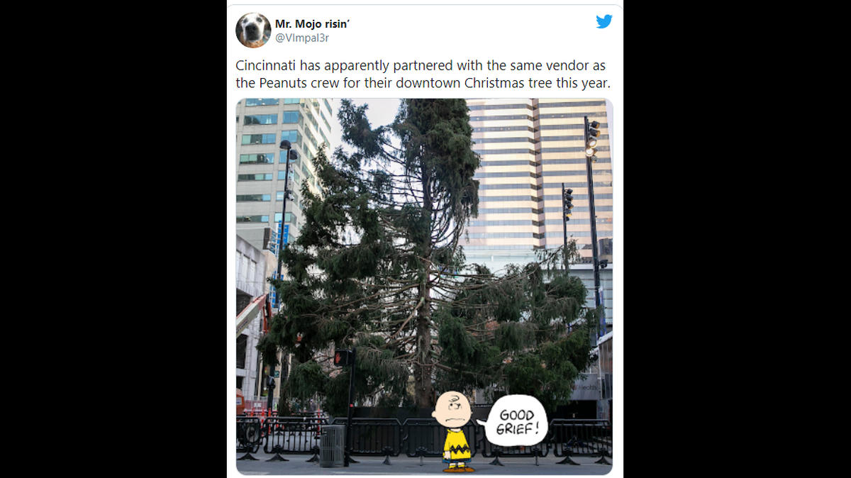 The famously sad Christmas Tree from the beloved TV special “A Charlie Brown Christmas” is apparently real, and was installed this week at downtown Cincinnati’s Fountain Square.