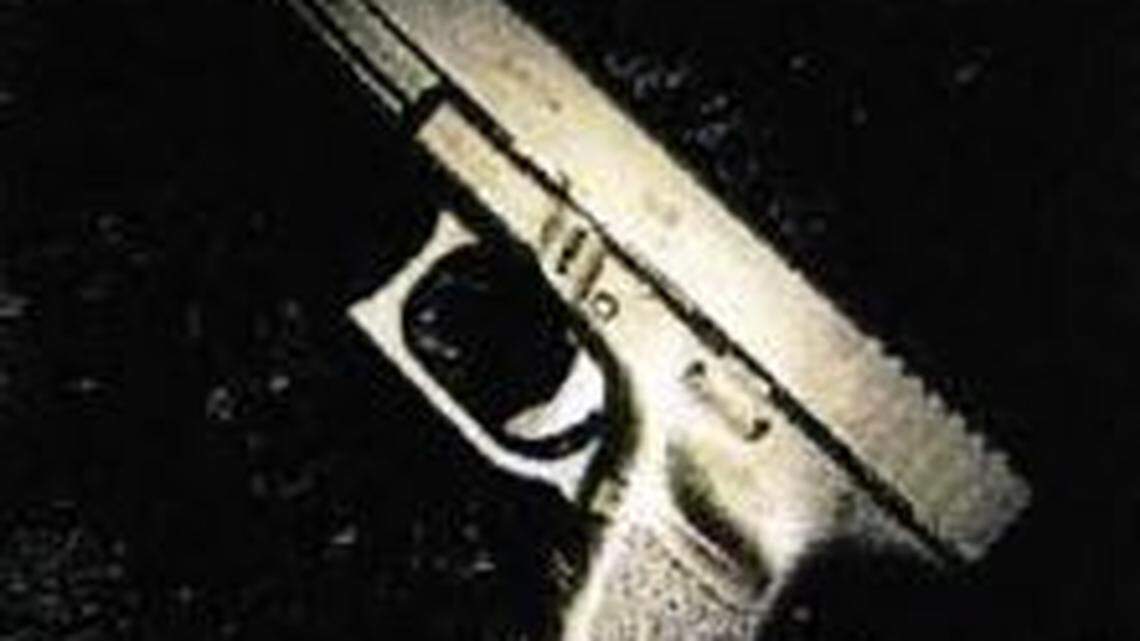 Federal court records show photos of guns that were illegally sold or transported across state lines, according to court documents.