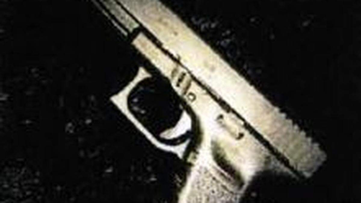 Federal court records show photos of guns that were illegally sold or transported across state lines, according to court documents.