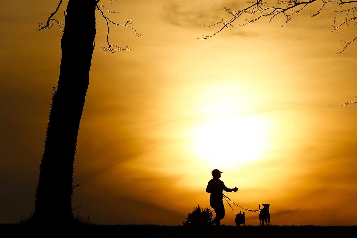 Macey Schmidt, of Lexington, Ky., walks her dogs Wrangler, left, and Diesel, as the sun sets over Jacobson Park in Lexington, Wednesday, April 3, 2019.