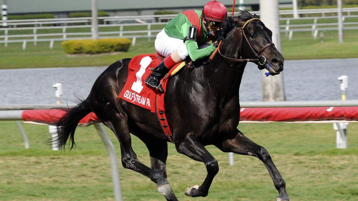Gulfstream Park Horse Racing