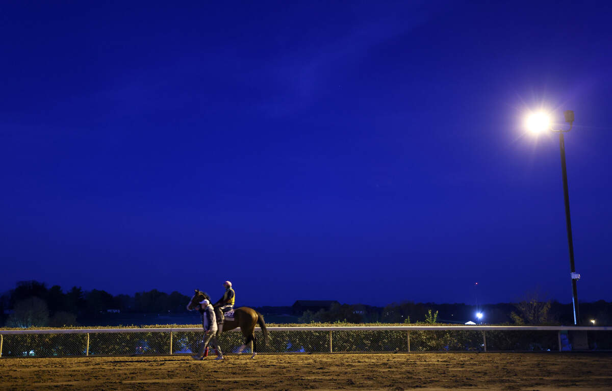 Horses and jockeys head around the track during morning workouts before the Breeder’s Cup World Championships at Keeneland in Lexington, Ky., Thursday, November 5, 2020.