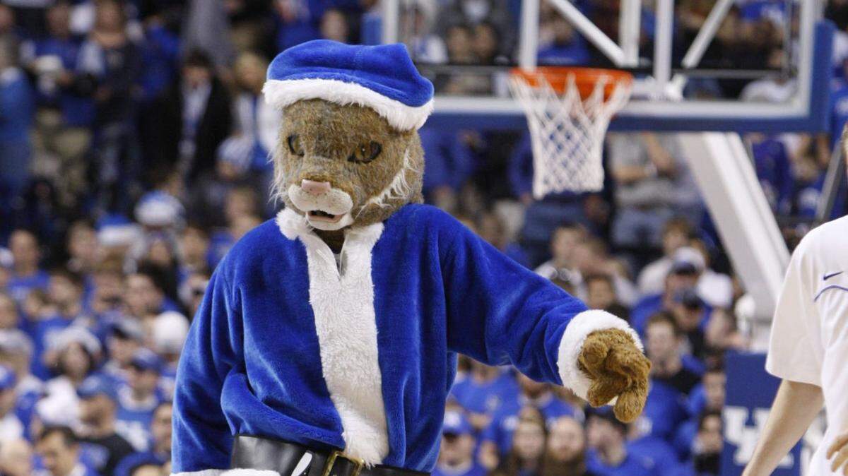 If you are holiday gift shopping for a Kentucky Wildcats fan, there are several newish books available devoted exclusively to UK sports.