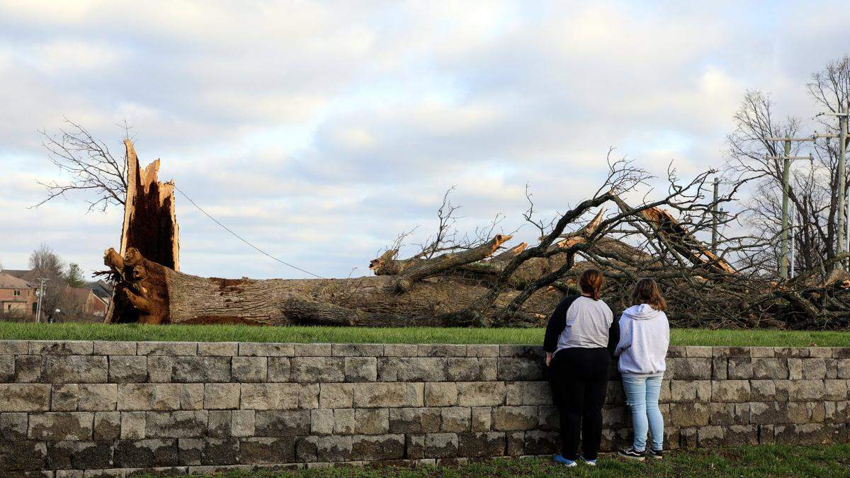 Jeanne Hartman and her daughter, Isabella, look over the remains of the 300-year-old bur oak tree near the corner of Harrodsburg Road and Military Pike that sat the morning of Saturday, March 4, 2023 after being blown over by a strong wind storm the night before that knocked out power to much of Lexington. The tree had been protected from multiple attempts at development nearby.