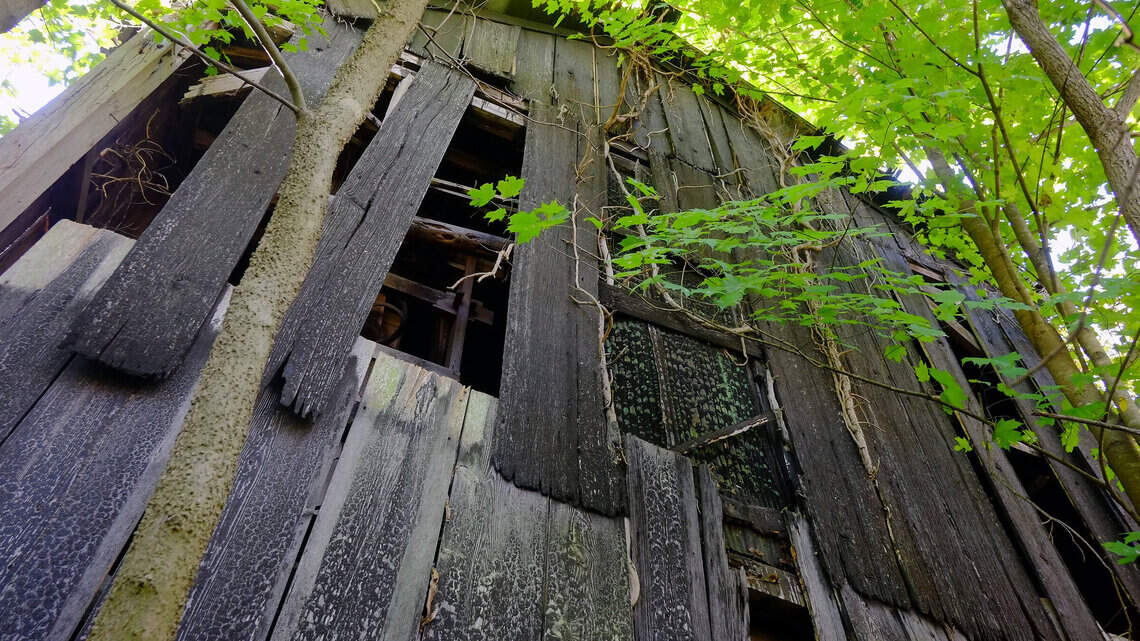 Barn wood missing? Kentucky thieves are making the most of an interior design trend.