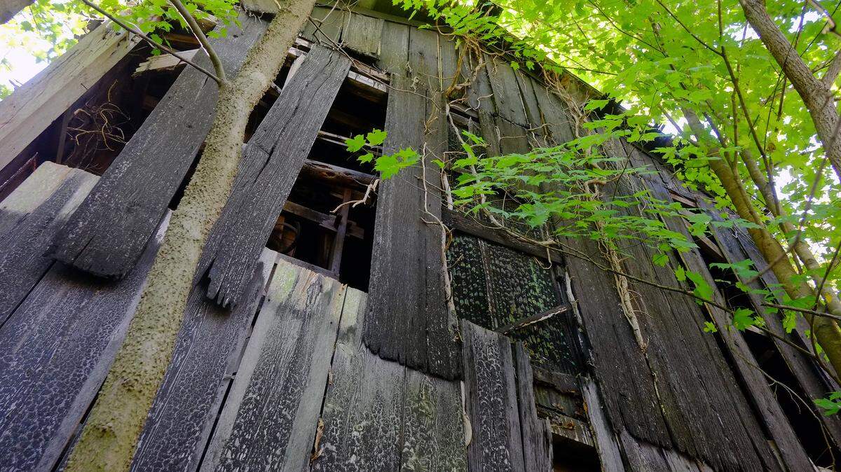 Weathered barn wood shelters a Madison County mill that was built in 1865 and went out of business in the 1930s. It has sat vacant since then with most of the steam-powered mill’s equipment intact.