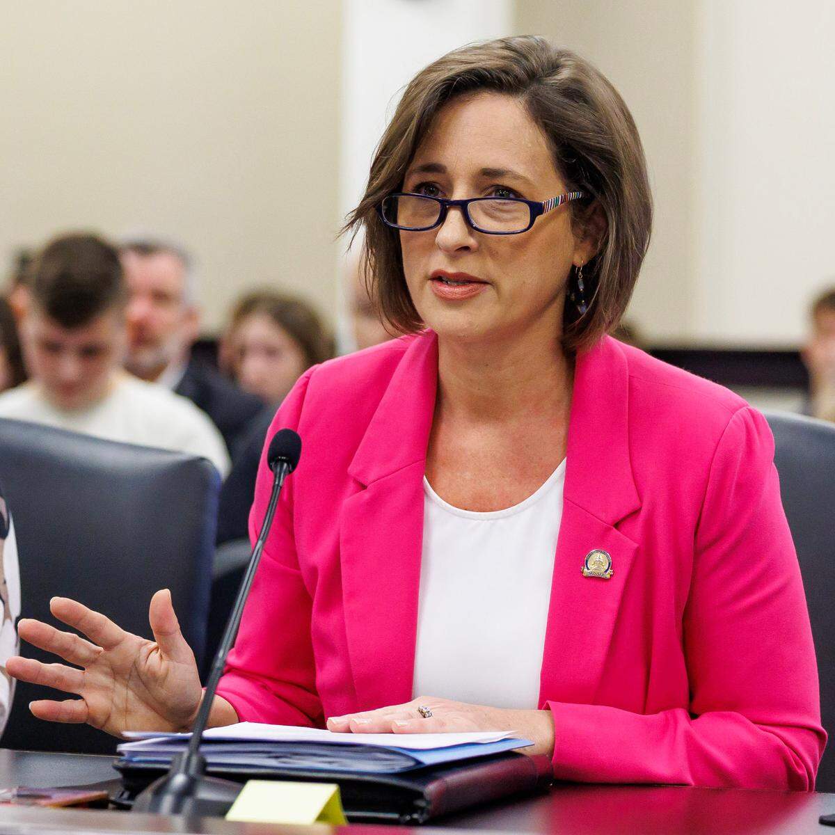 Kentucky State Sen. Lindsey Tichenor, R-Smithfield.