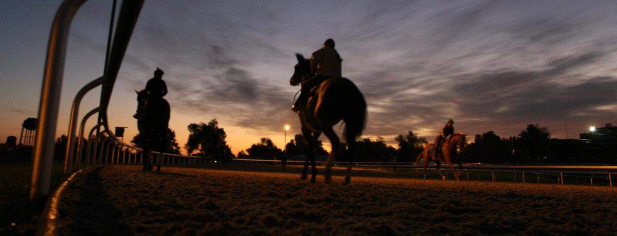 Keeneland vets monitor every morning workout to watch for signs of injuries that warrant further examination, said Dr. Stuart Brown II.