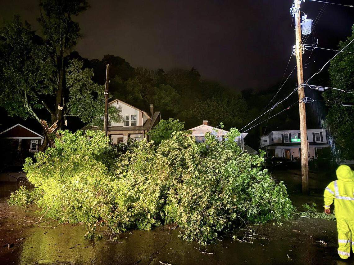 A severe storm overnight Monday, April 27, to Tuesday, April 28, caused a large tree to fall on Ewing Street in Franklin County, Ky.