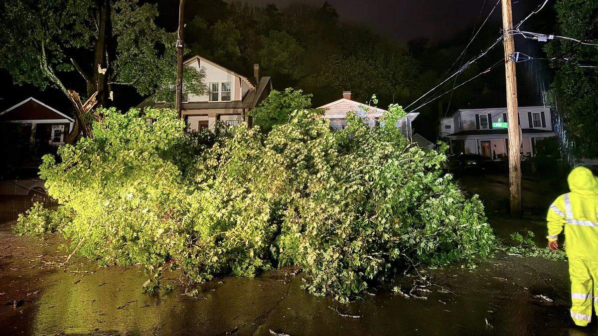 A severe storm overnight Monday, April 27, to Tuesday, April 28, caused a large tree to fall on Ewing Street in Franklin County, Ky.