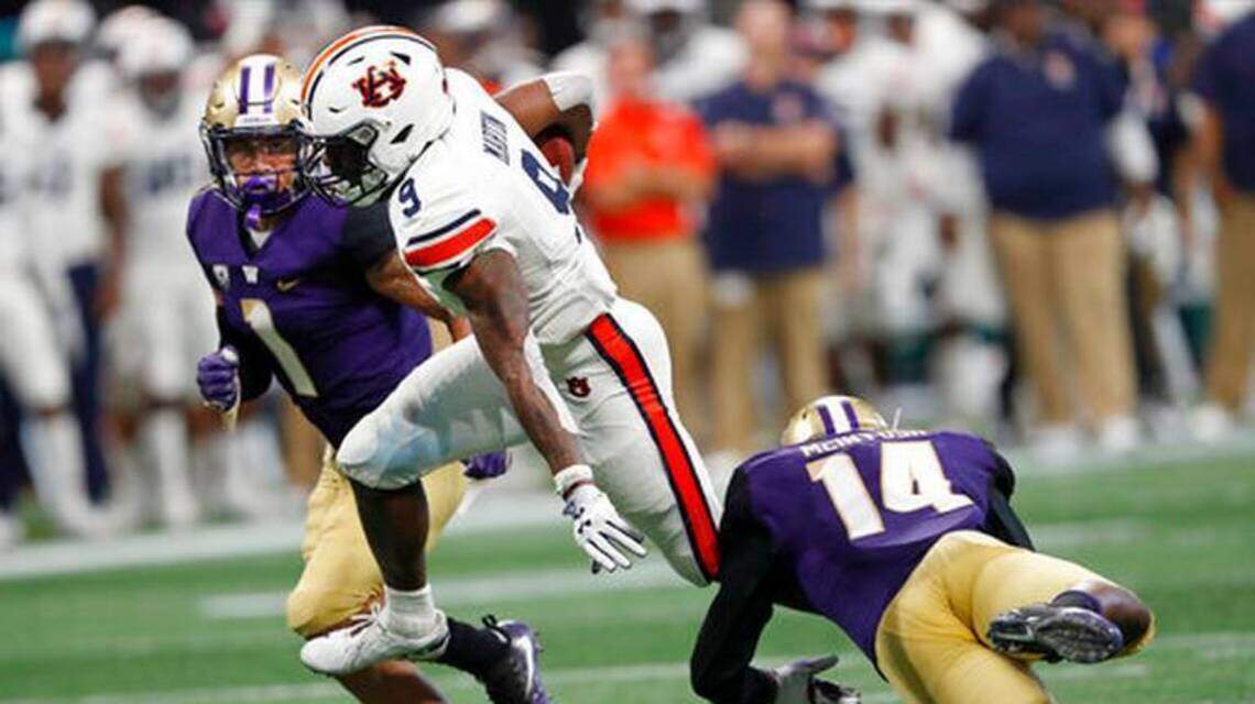 College and NFL picks: Who wins Auburn-LSU? Can Bengals beat Ravens?