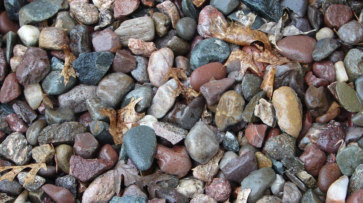 There’s something alive in this pile of rocks at Saint Croix National Scenic Riverway ... or is it more than one thing? A lot of people had trouble finding it.