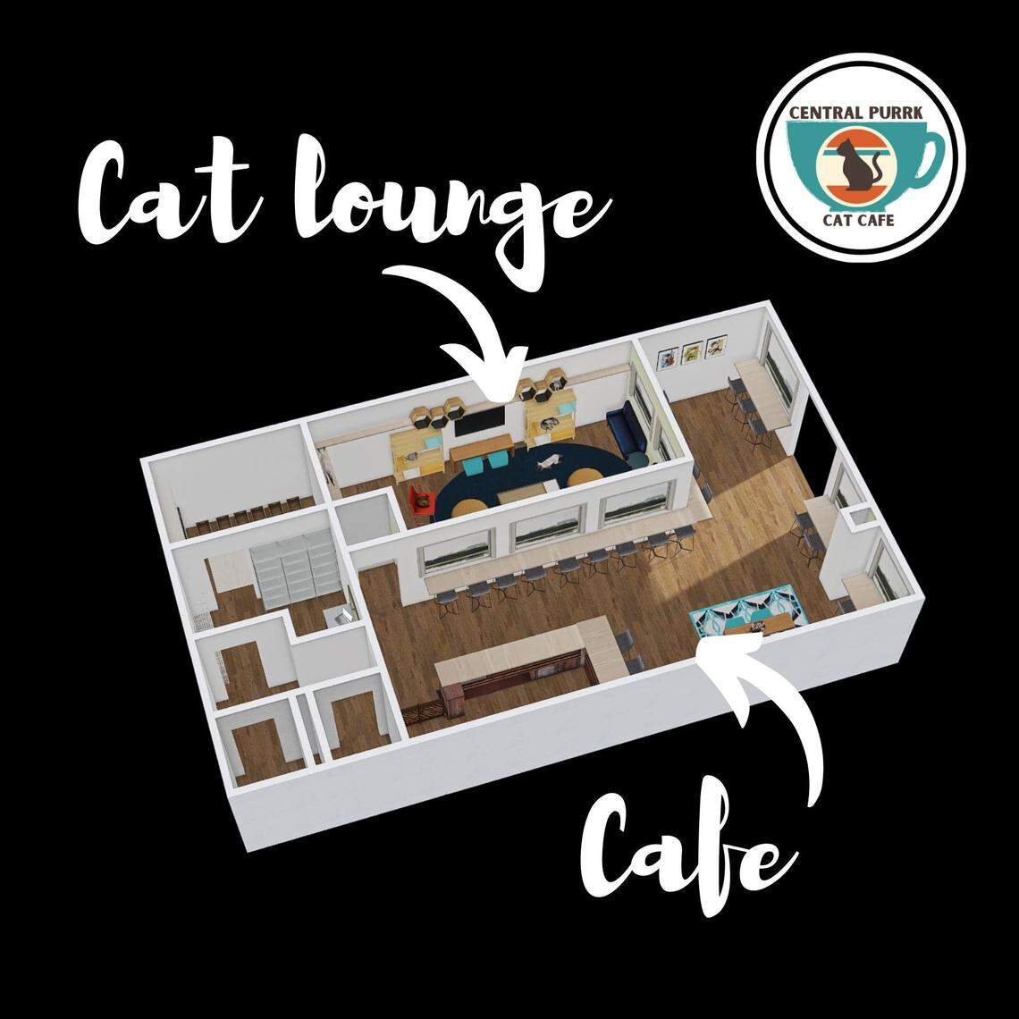 Central Purrk Cat Cafe in Georgetown sells coffee, scones, beer and has a separate “cat lounge” for customers to play with adoptable felines.