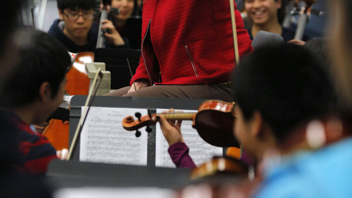 NM_10orch4.jpg