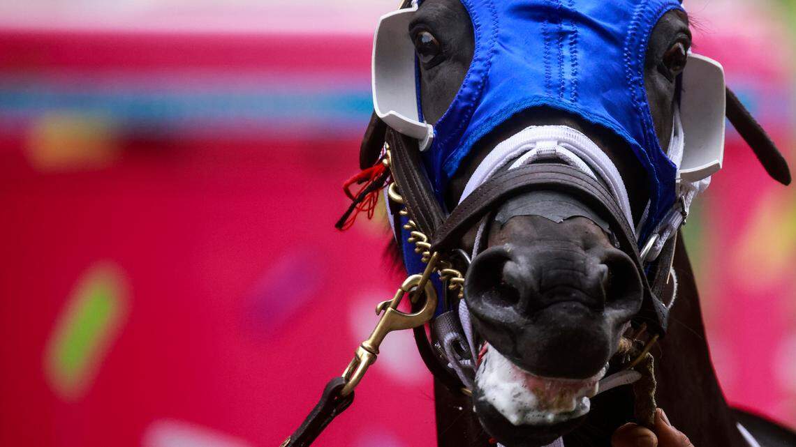 Looking for long shots in all the wrong places? You might find value at the Breeders’ Cup.