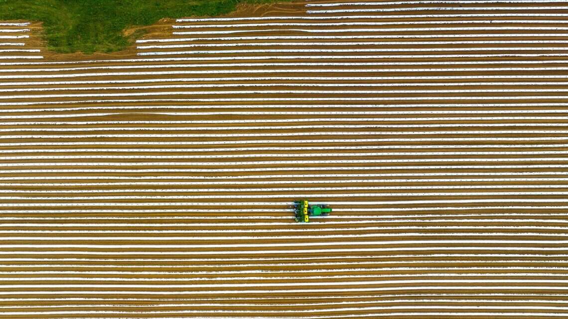 Loophole in the 2018 Farm Bill regarding THC will close soon. Keep it closed | Opinion