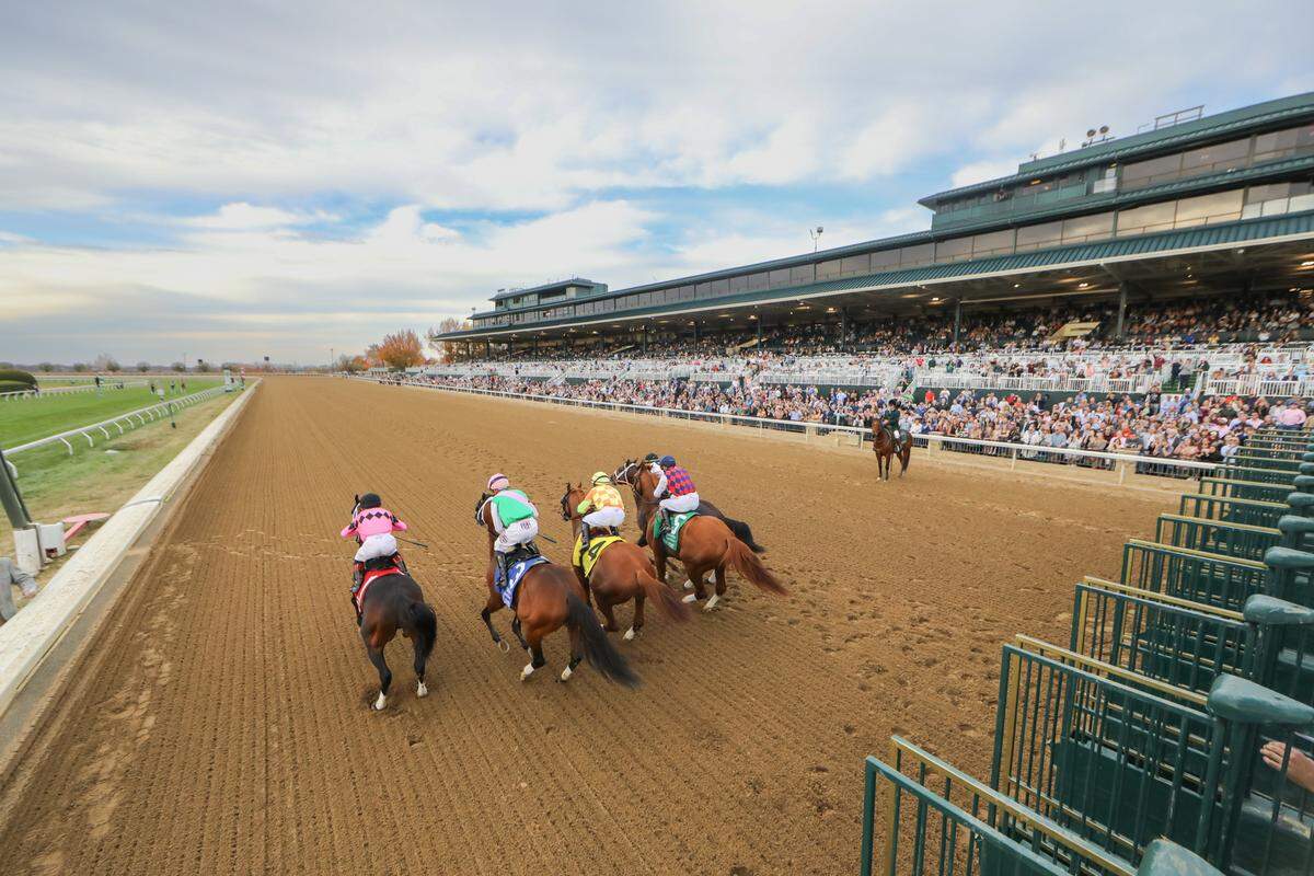 Two horses died at Keeneland this weekend following racing incidents.