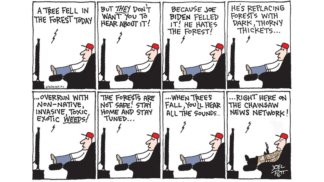 Joel Pett: Fake news and fake news channels